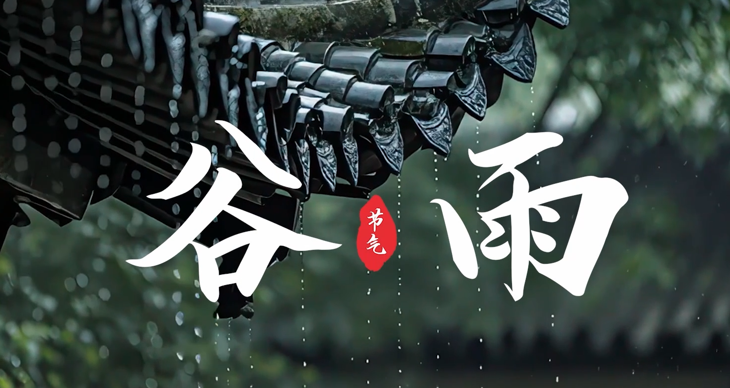 ��Ƶ�����չ���