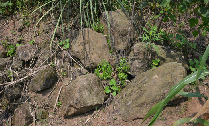 DSC_7149.JPG