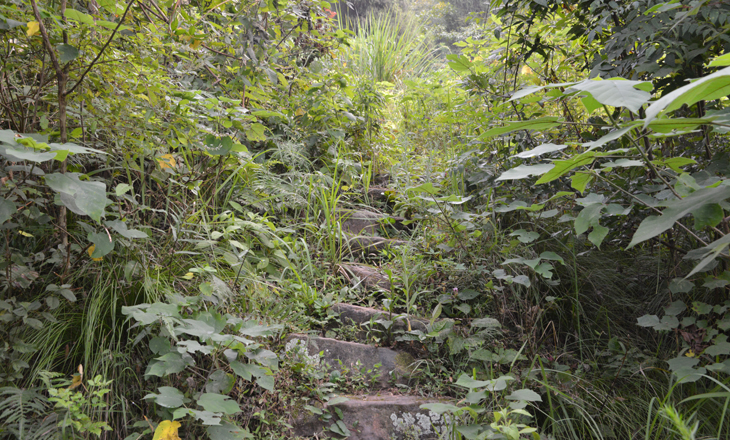 DSC_6952.JPG