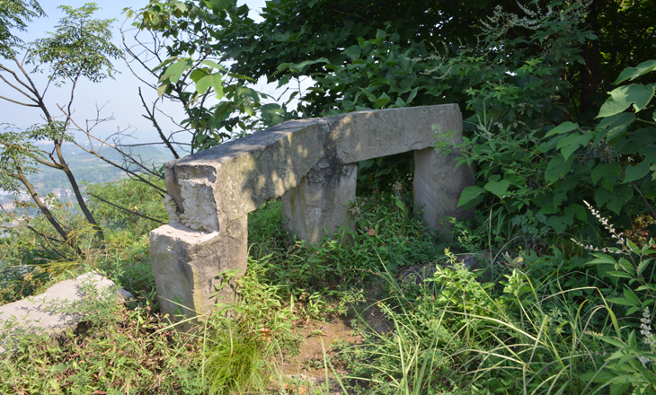 DSC_6765.JPG